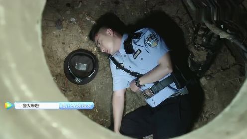 警犬来啦：艾滋病人用针头扎特警，特警本以为自己完了，哪料意外发生了！