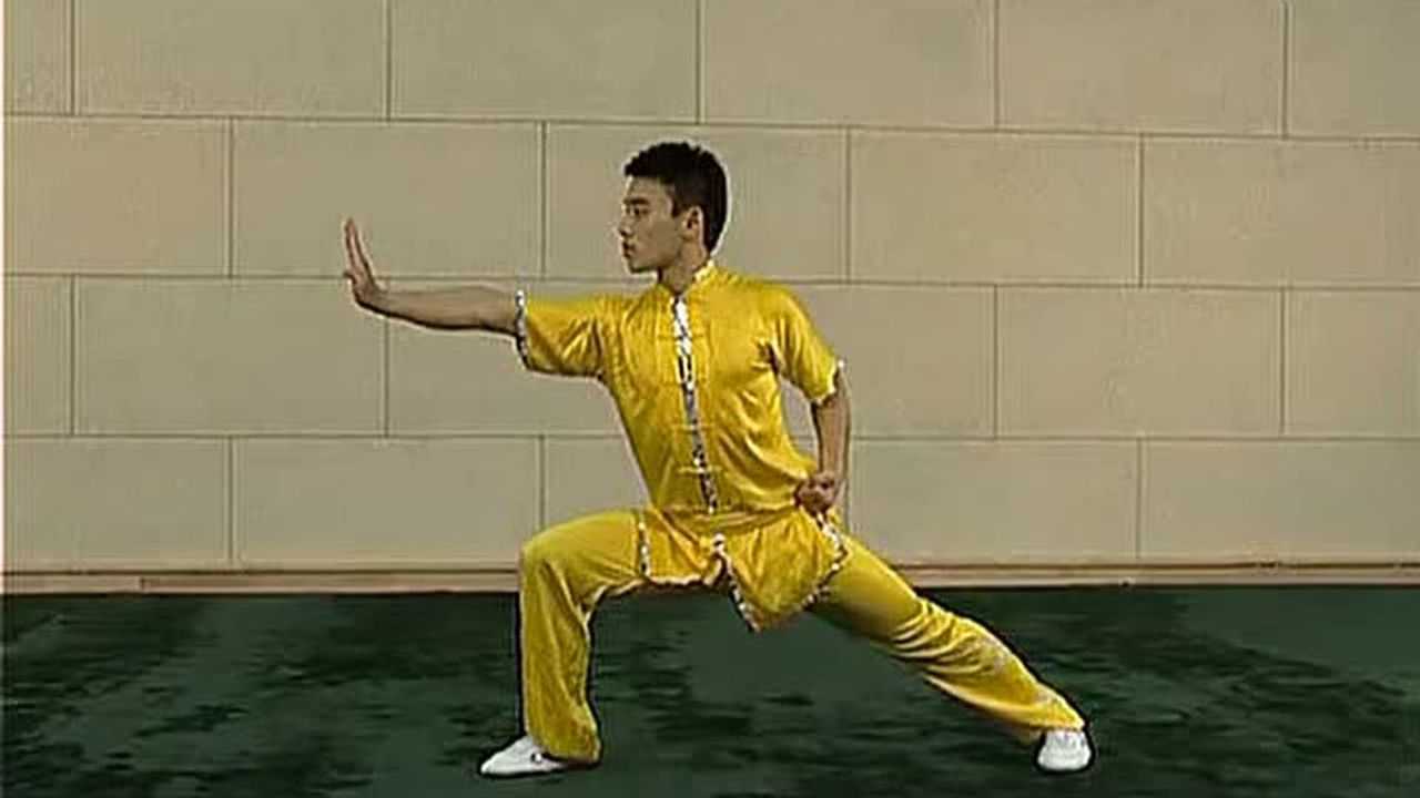 少年拳第一套—第7式 跳步推掌_腾讯视频