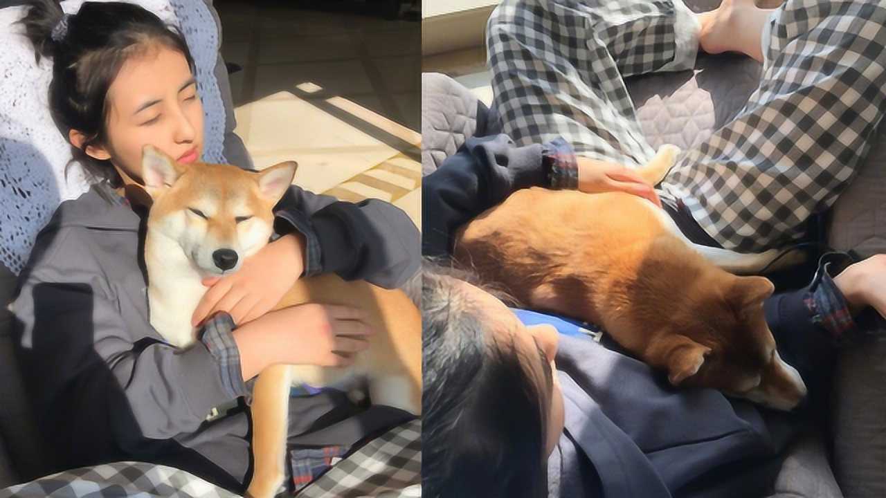 张子枫宅家抱宠物狗晒太阳扎丸子头闭目养神超惬意睡裤抢镜