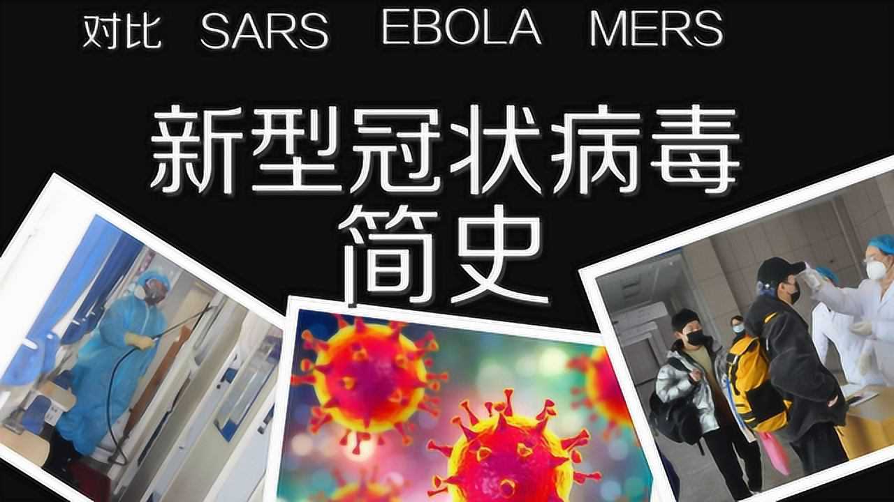 新型冠状病毒简史 与其他病毒疫情(sars 埃博拉 猪流感)对比