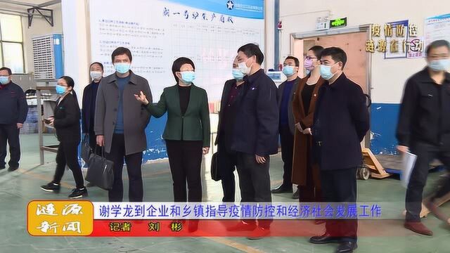 谢学龙到企业和乡镇指导疫情防控和经济社会发展工作