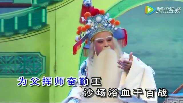 潮剧选段《忠烈门风天下传》演唱:林柔佳 林燕云