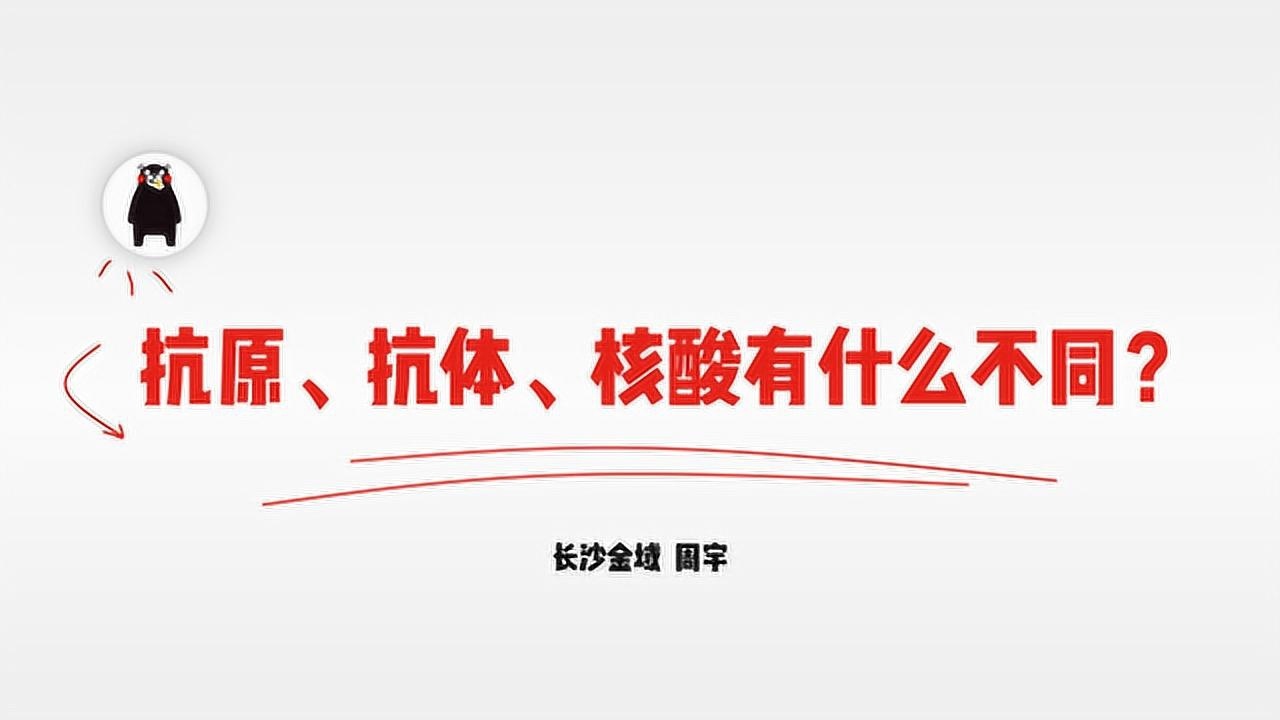秒懂百科内科篇——抗原、抗体、核酸检测有什么不同？_高清