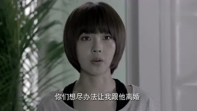 失忆的她恢复了记忆,同时也记起来无恶不作的前夫如何陷害她的