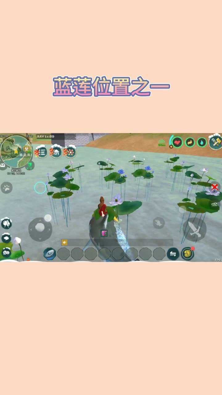 创造与魔法蓝莲位置