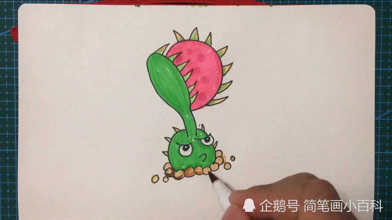 简笔画捕蝇草的画法记得收藏哦