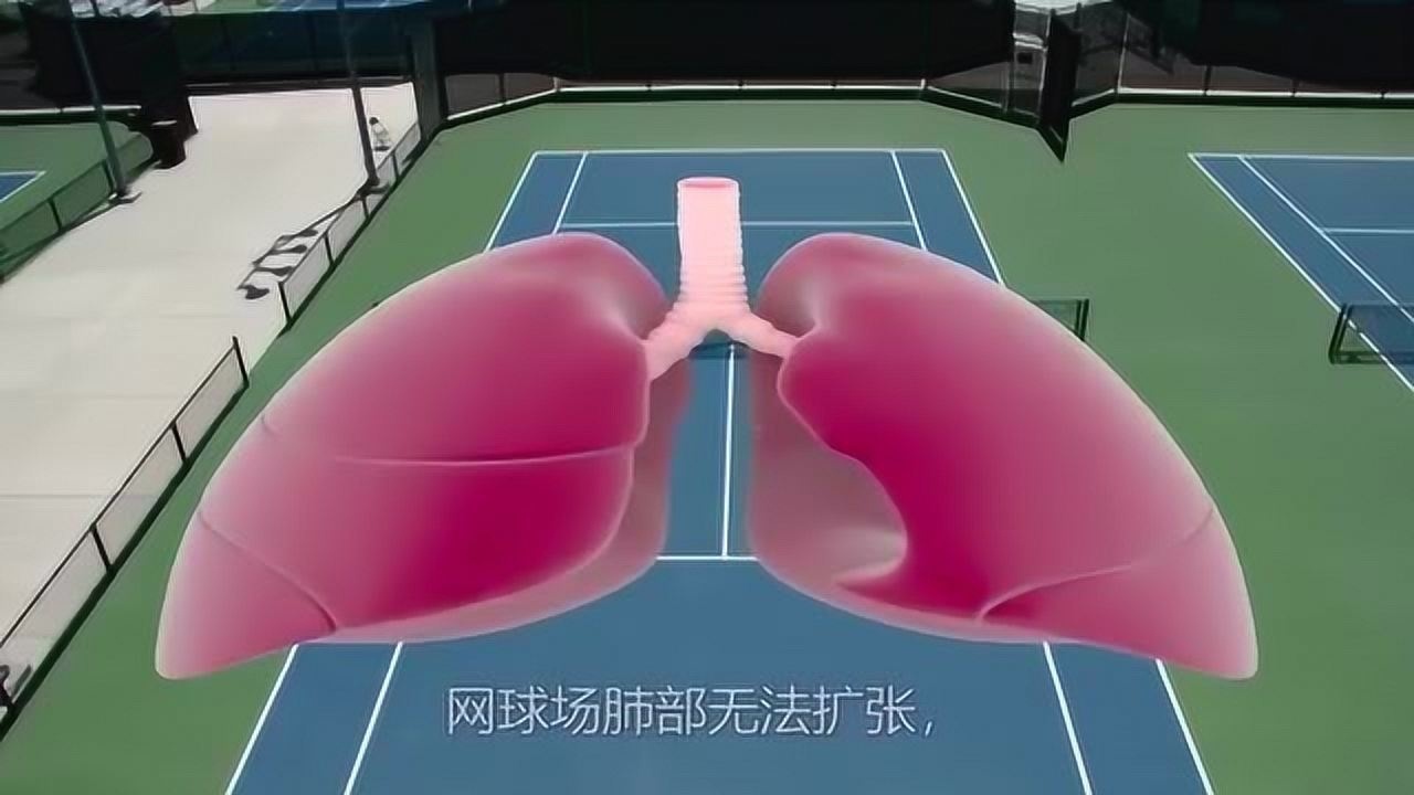 医学动画，带你认识人体各个脏器和系统_高清