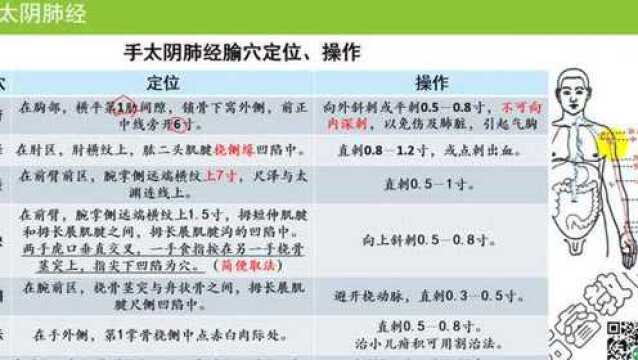 针灸背诵2——2. 手太阴肺经重点腧穴的定位、主治与操作