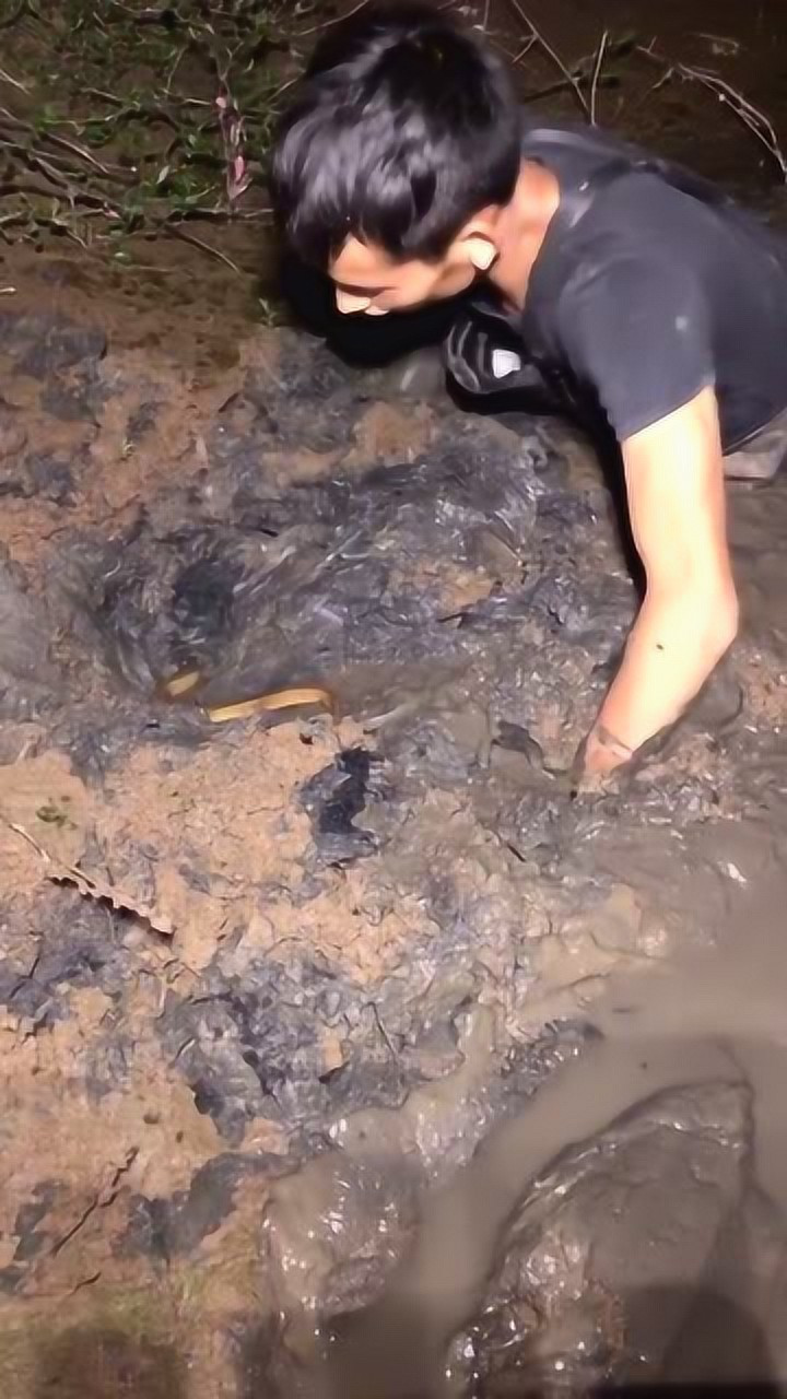 河沟挖鳝鱼第一根!