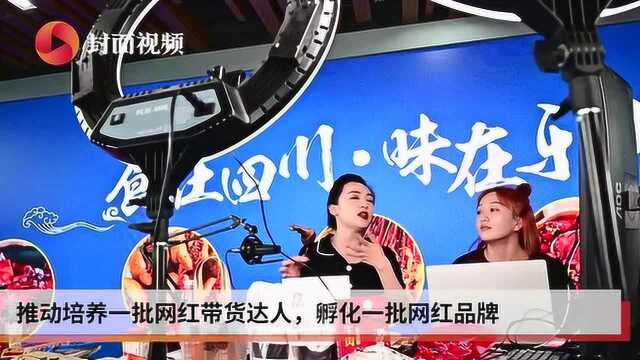 抢占“直播经济”市场 四川乐山打造美食直播产业基地