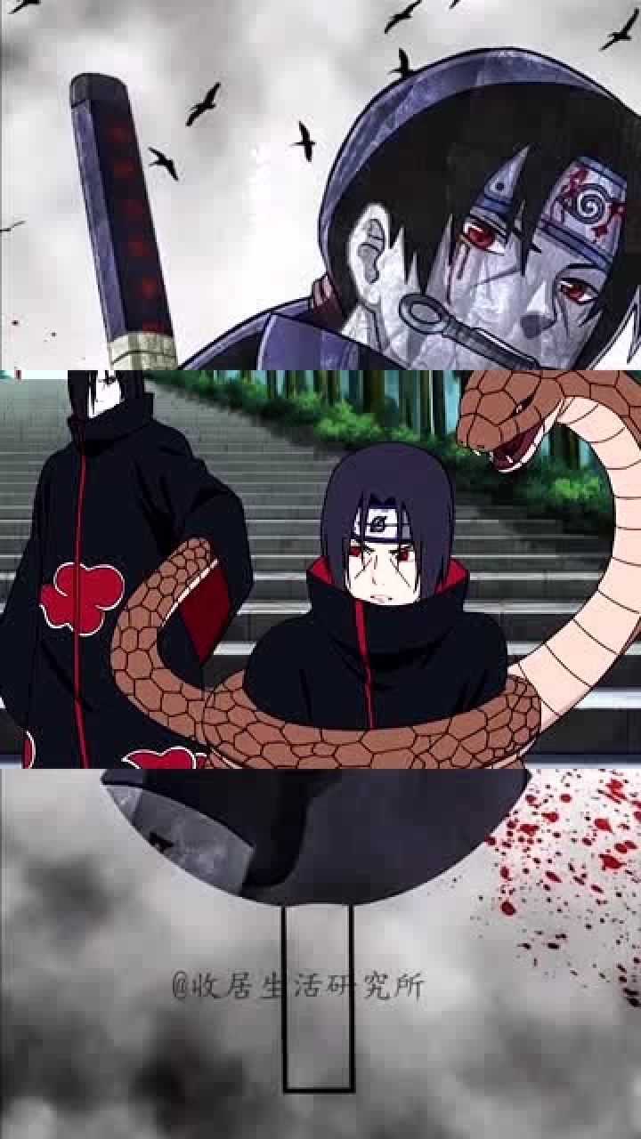 火影忍者:他们都只知道你是屠村的鼬,只有他叫你鼬先生