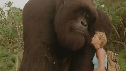 女孩救下一只小猩猩，收留照顾它12年，长大之后成为她的守护者
