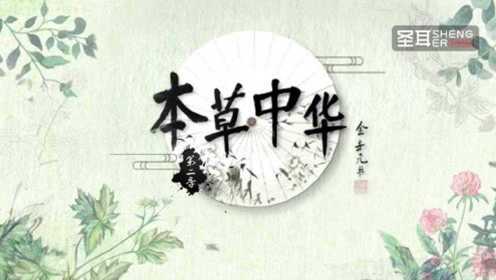 东方卫视《本草中华》第二季：圣耳·本草植物燕窝纪录片