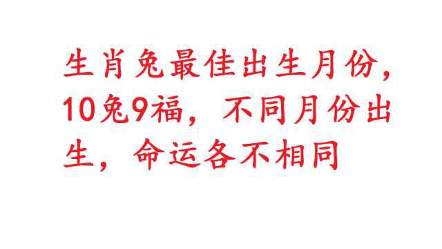 生肖兔最佳出生月份,10兔9福,不同月份出生,命运各不相同