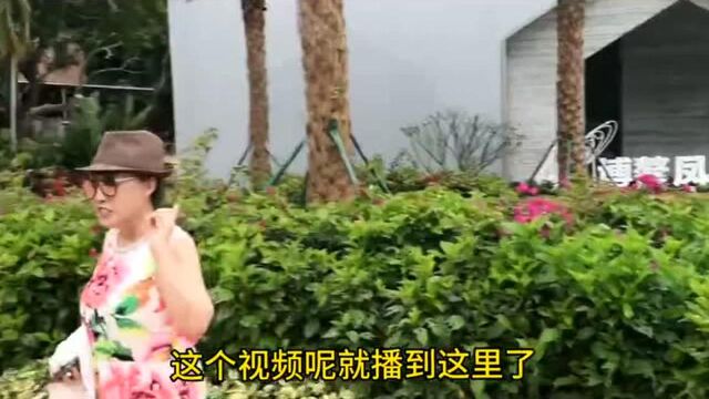 淡雅紫花与绿草做底色,白房,红牌矗中央,槟榔椰子相映衬.美丽乡村