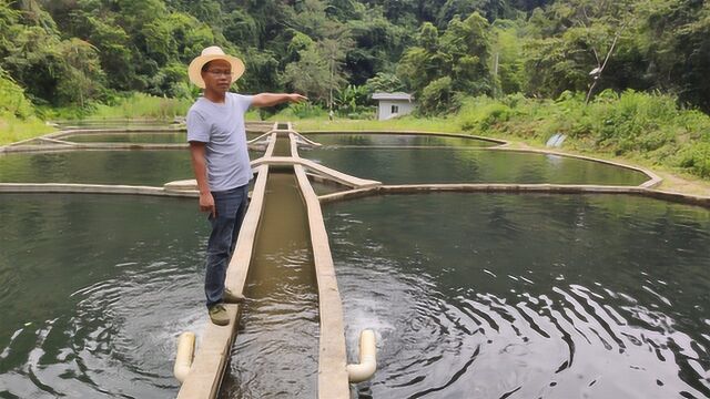 大山深处住着唯一的一户人家,一年收入100多万,难怪不愿搬离