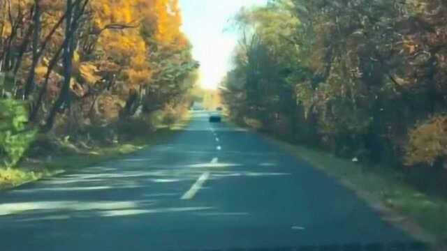 开车走在柏油路上,看着两边的风景,感慨真的良多心突然静了下来