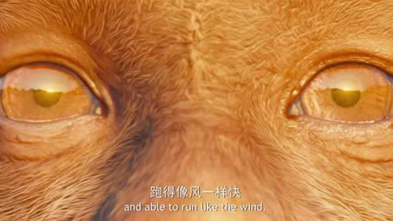 道士下山猿击术练的就是一个字快其中蕴藏着生命的道理