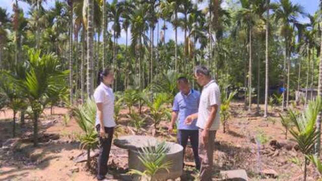 大路安竹脱贫攻坚中队:建立长效脱贫机制 壮大村级集体经济