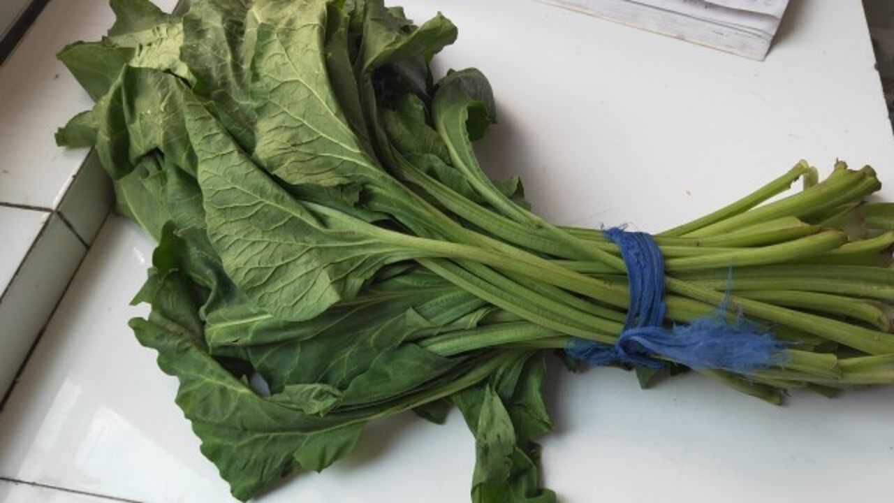 根达菜新吃法,1种菜两种做法,味道各有千秋!