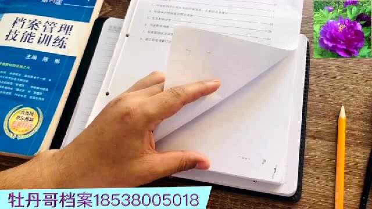 档案整理如何编写页码?主讲:牡丹哥档案管理学习培训视频课程