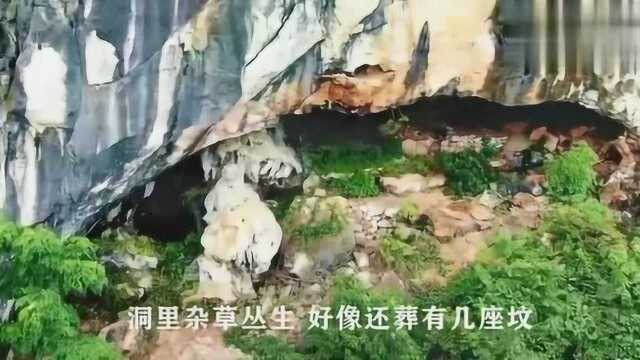 无人机发现1只大“蝎子”,壮胆飞前去查看,你猜拍到了啥?