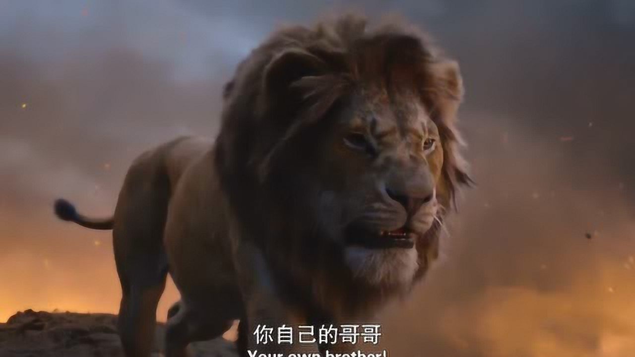 狮子王当辛巴知道了木法沙是刀疤杀死的一股怒意由心而生