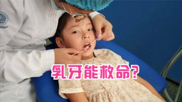 娃的小乳牙能派上“大用场”?确实能救命,但普通家庭建议直接扔