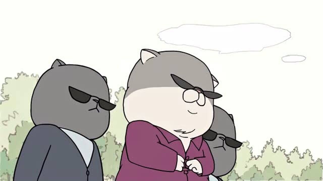 我的邻居全是猫:猫猫太可爱了,大家都很喜欢他们