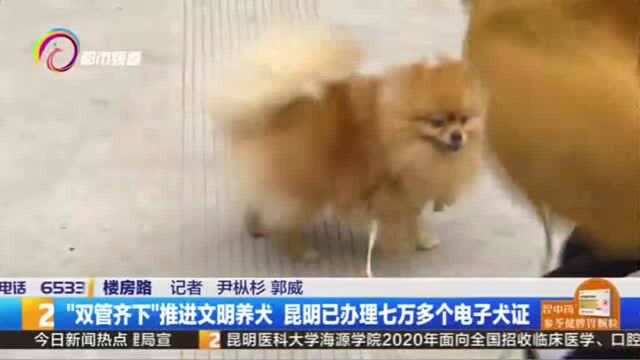 “双管齐下”推进文明养犬 昆明已办理七万多个电子犬证