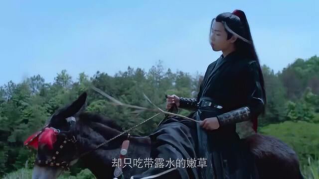 陈情令:明明是只驴子,却只吃带露水的嫩草,羡羡直呼你是大爷