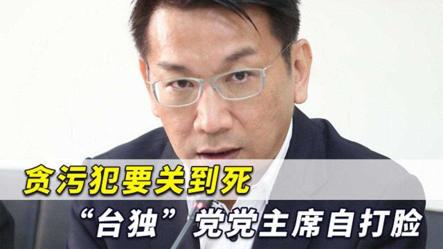 贪污犯要关到死?“台独”政党主席涉受贿遭调查,太打脸了!