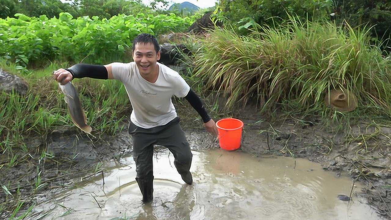 发现小水塘有异动阿琪直接把水舀干抓鱼这样抓鱼比钓鱼还过瘾