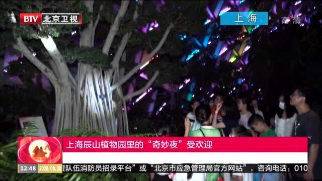 上海辰山植物园里的“奇妙夜”受欢迎