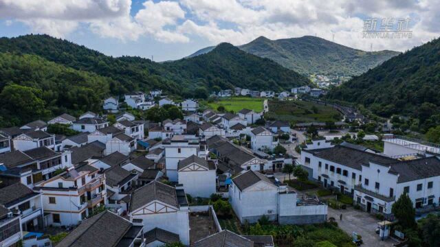 (美丽中国)浙江舟山:美丽乡村展风情