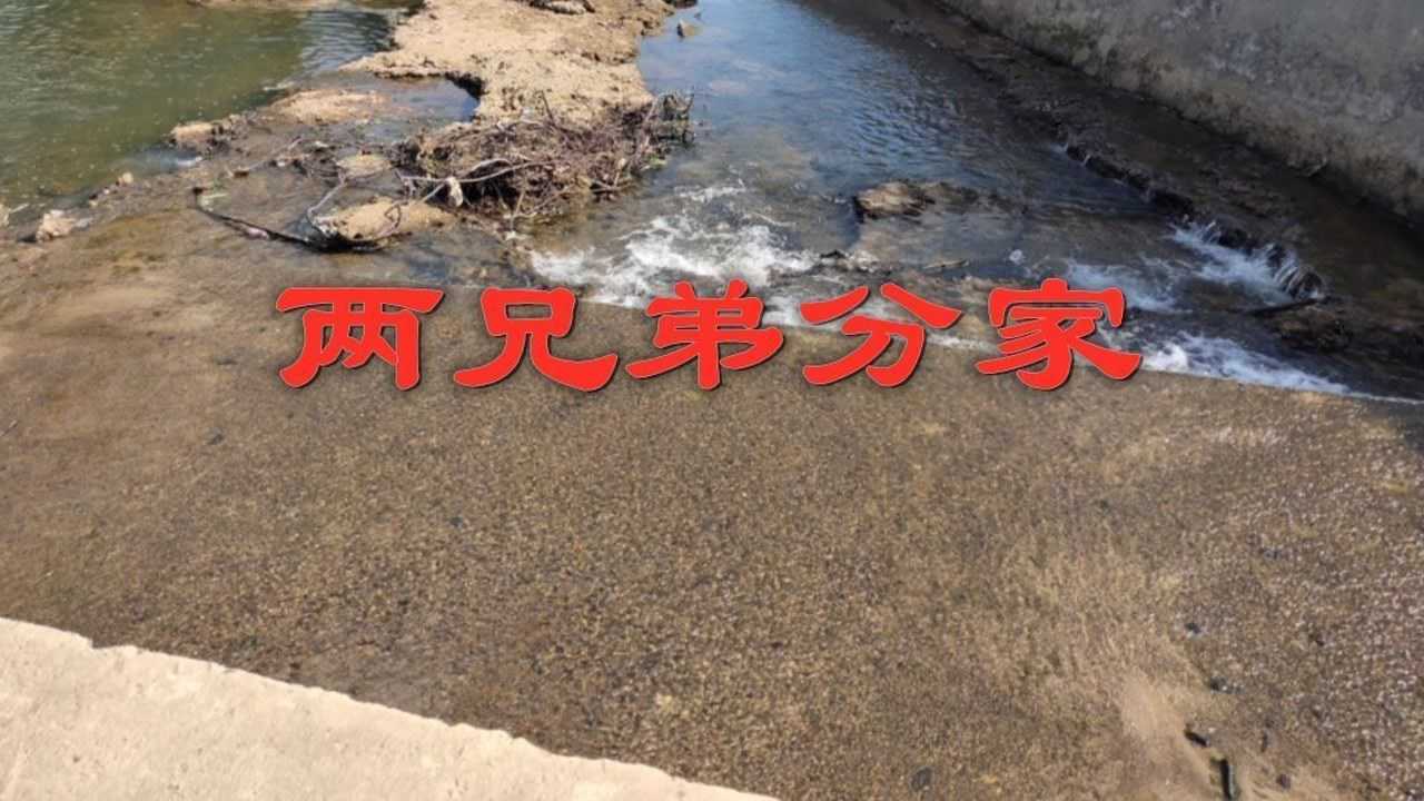 民间故事:《两兄弟分家》从前有个老人有两个儿子