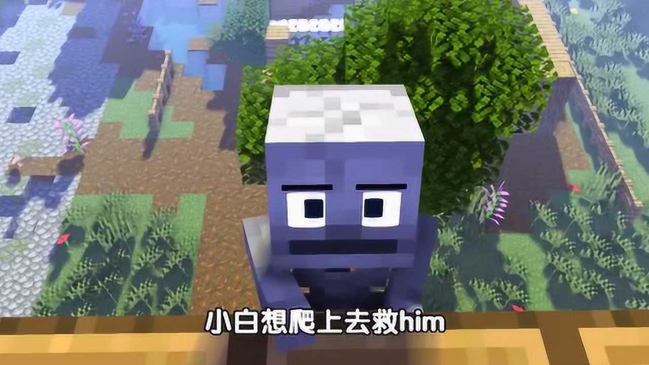 我的世界:小白救him