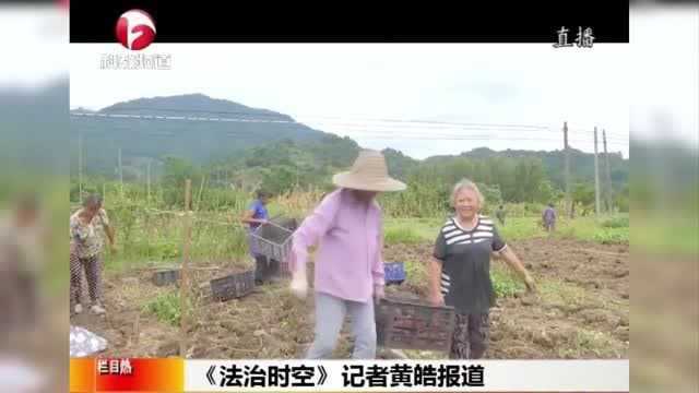 绩溪:因地制宜,着力发展产业扶贫!生态园成脱贫致富“幸福园”