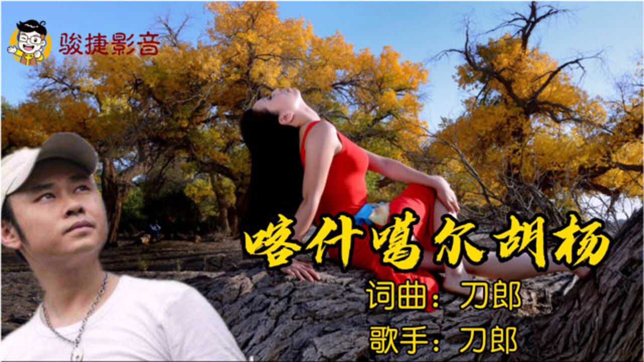 刀郎歌曲喀什噶尔胡杨歌声沧桑感人好听