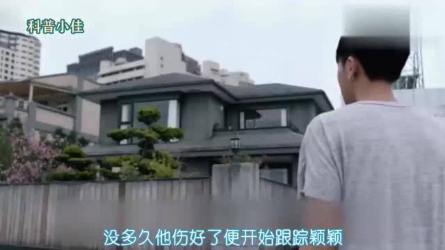 男子喜欢上邻居女子,经常偷偷看她,最后终于如愿以偿