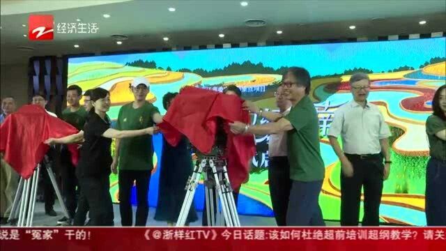 浙江影视集团献礼建党100周年剧作《春风又绿江南》丽水开机