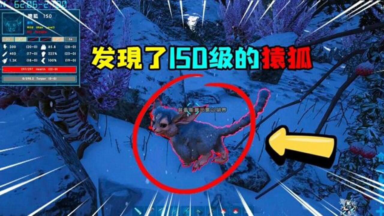 方舟创世纪经过长时间的搜索终于让我发现了150级的猿狐