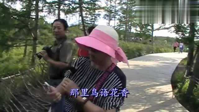 《陪你一起看草原》8、阿尔山国家森林公园