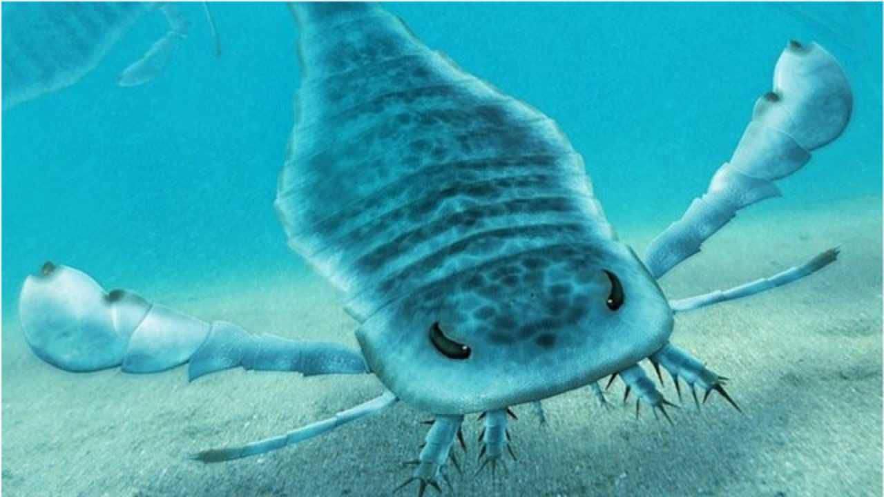 远古海洋生物 可怕图片