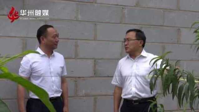 王海峰在华州区杏林镇调研脱贫攻坚工作