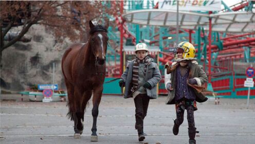 患有自闭症的孩子爱上一匹马，却要被卖掉《少年与马》