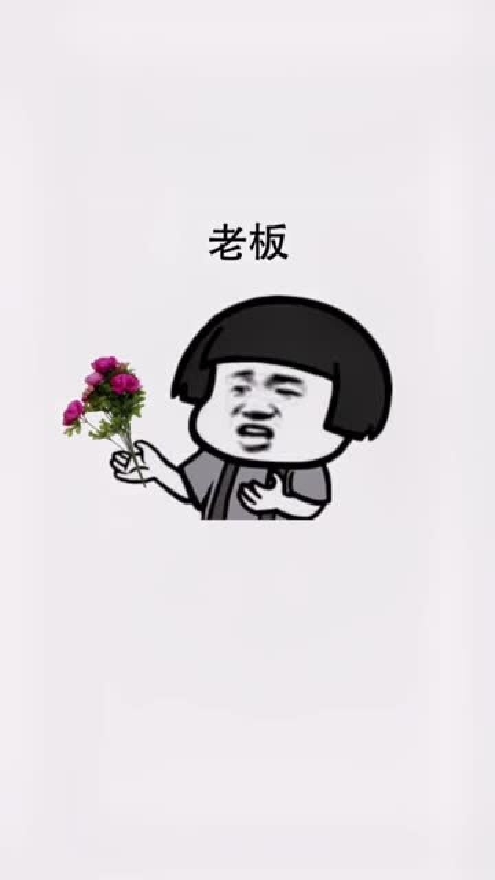 沙雕搞笑:乌龟能养多长时间之神补刀