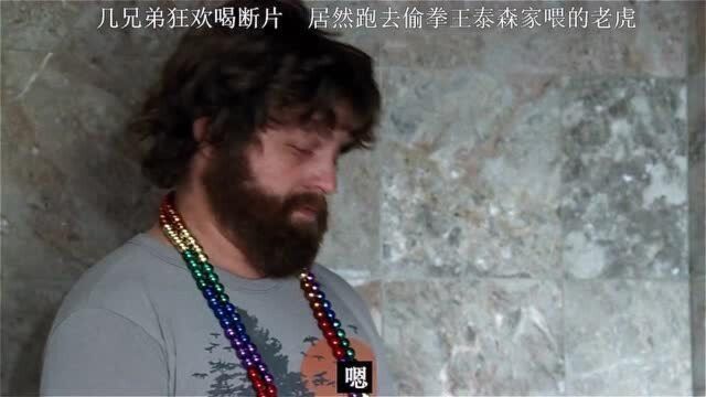 森家的老虎也敢偷?胆子太肥了吧!