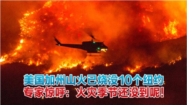 美国加州山火已烧没10个纽约,专家惊呼:火灾季节还没到呢!