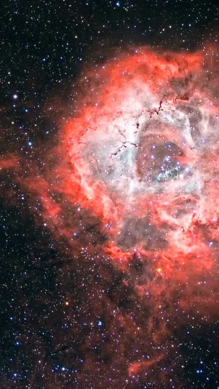 麒麟座玫瑰星云图片